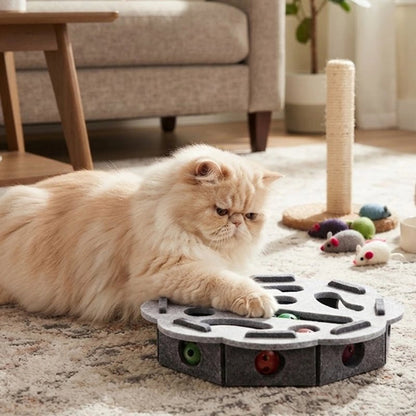 jouet chat interactif gris octogonal