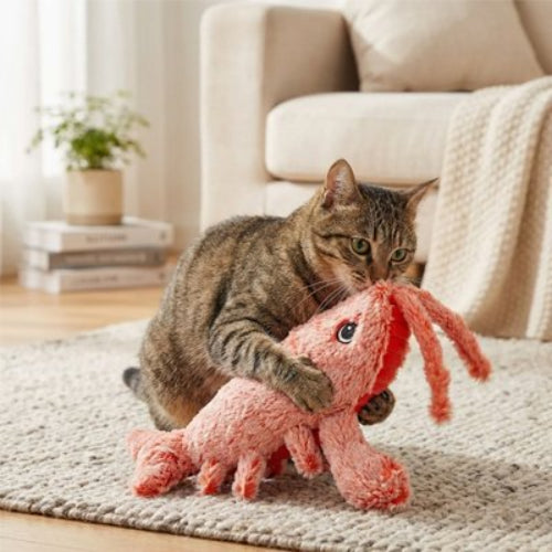 jouet chat interactif homard orange chat jouant salon