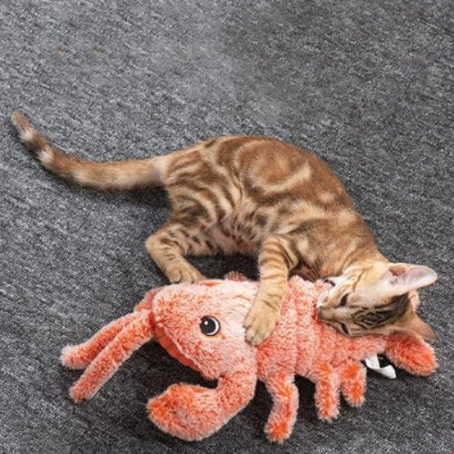 jouet chat interactif homard orange chat jouant