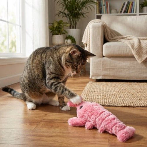 jouet chat interactif homard rose chat salon canape