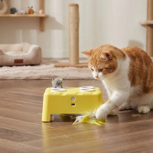 jouet chat interactif jaune chat attrapant