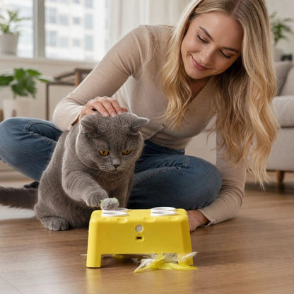 jouet chat interactif jaune maitresse chat jouant