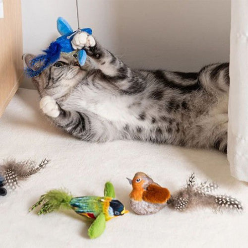 jouet chat interactif oiseaux realistes bleu vert marron chat