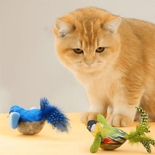 jouet chat interactif oiseaux realistes bleu vert chat