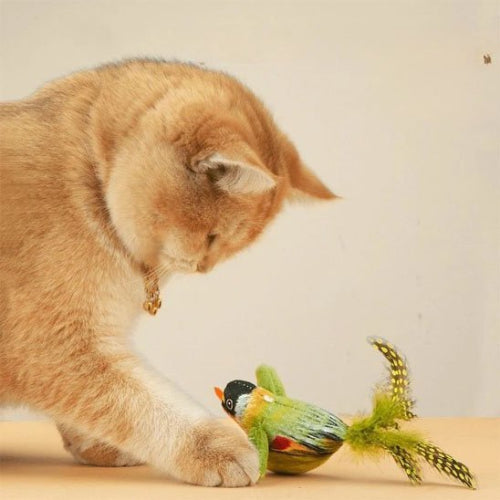 jouet chat interactif oiseaux realistes vert chat jouant