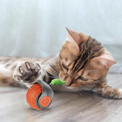 jouet chat interactif orange boule roulante automatique chat jouant