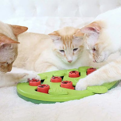jouet chat interactif planche ludique chats jouant