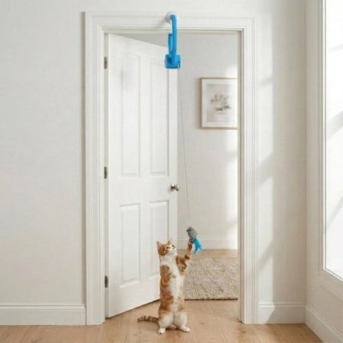 jouet chat interactif retractable chat jouant