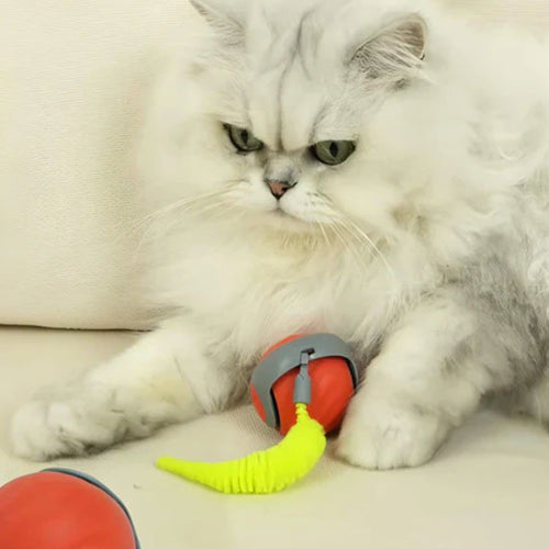 jouet chat interactif rouge boule electrique intelligente chat jouant
