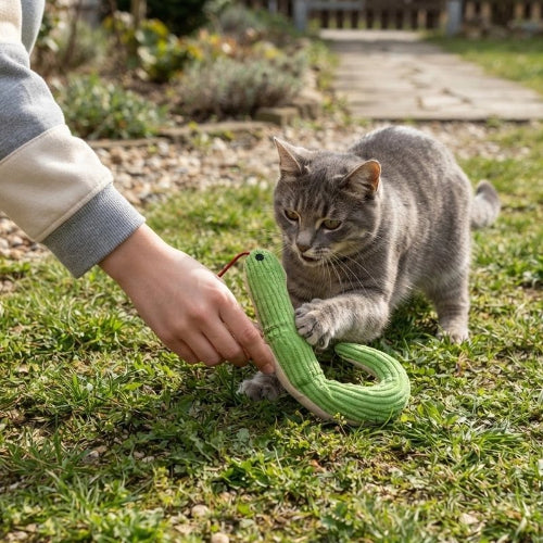 jouet chat interactif serpent chat jouant jardin