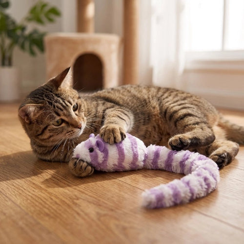 jouet chat interactif souris couineuse chat allonge