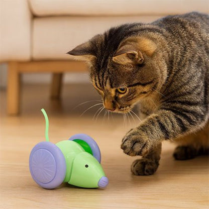 jouet chat interactif souris electrique vert chat jouant