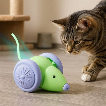 jouet chat interactif souris electrique vert chat debout