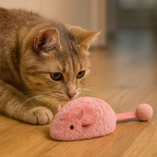 jouet chat interactif souris rose vif chat allonge