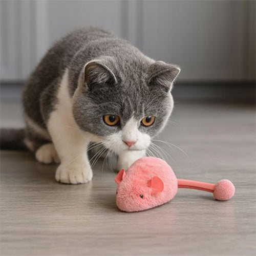 jouet chat interactif souris rose vif chat debout
