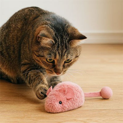 jouet chat interactif souris rose vif chat jouant