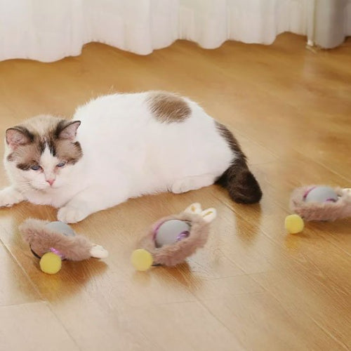 jouet chat interactif souris roulante grise chat allonge