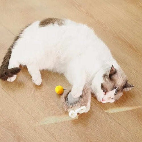 jouet chat interactif souris roulante grise chat jouant