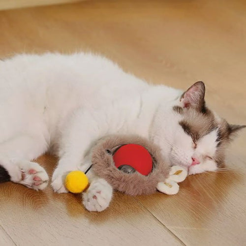 jouet chat interactif souris roulante rouge chat apaise