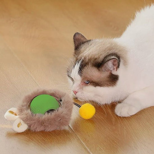 jouet chat interactif souris roulante verte chat jouant