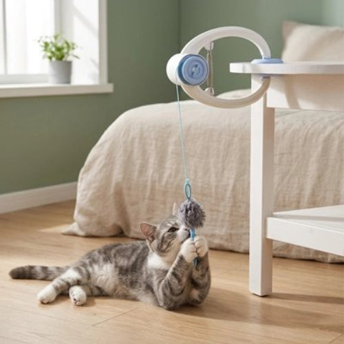 jouet chat interactif suspendu chat allonge chambre