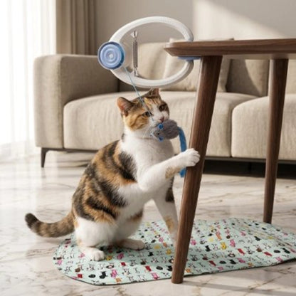jouet chat interactif suspendu chat jouant salon