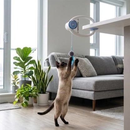 jouet chat interactif suspendu chat jouant salon