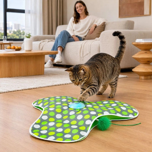 jouet chat interactif vert maitresse avec chat