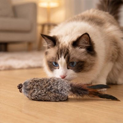 jouet chat oiseau a fourrure avec chat