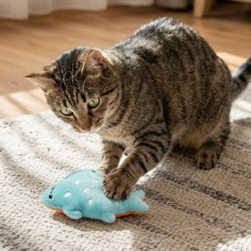 jouet chat peluche ludique bleu chat jouant