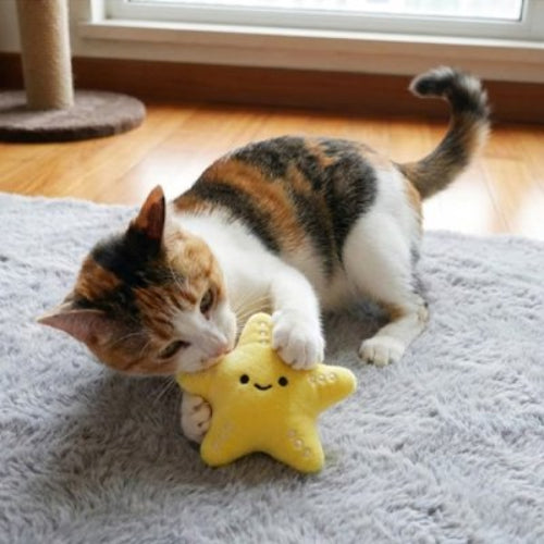 jouet chat peluche ludique jaune chat jouant