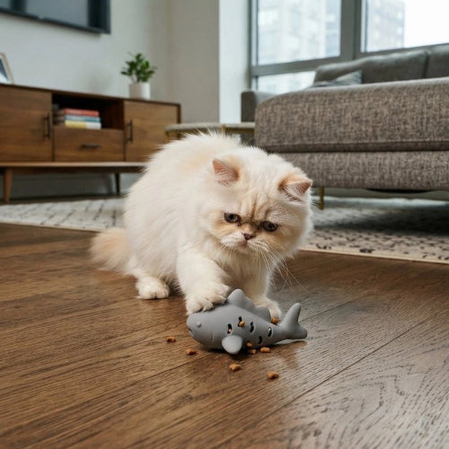 jouet chat poisson gris chat jouant salon
