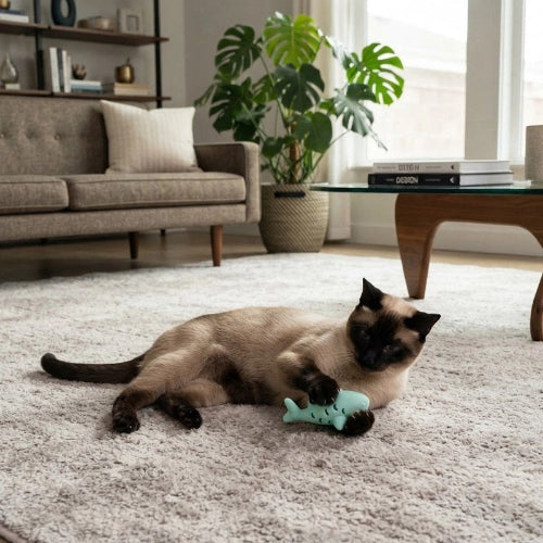 jouet chat poisson menthe chat allonge salon