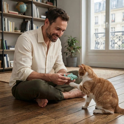 jouet chat poisson menthe maitre avec chat