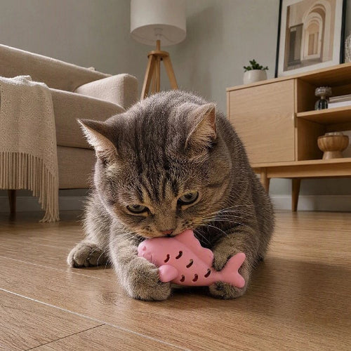 jouet chat poisson rose chat mordant