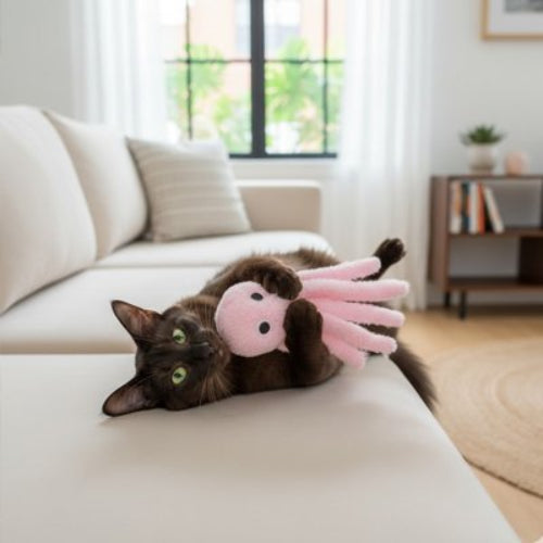 jouet chat poulpe rose chat allonge canape salon