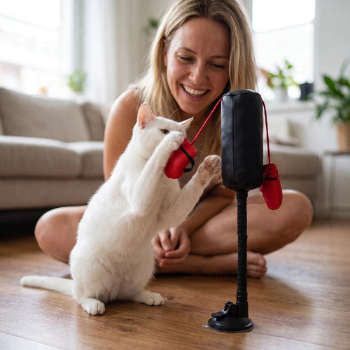 jouet chat punching ball interactif maitresse chat jouant