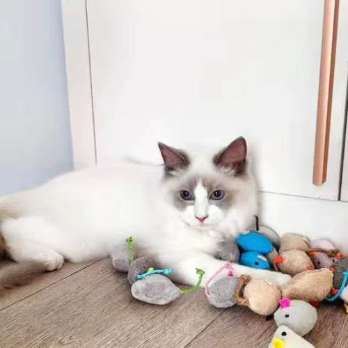 jouet chat souris attractives chat allonge salon
