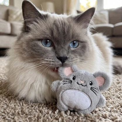 jouet chat souris en peluche chat mordant salon