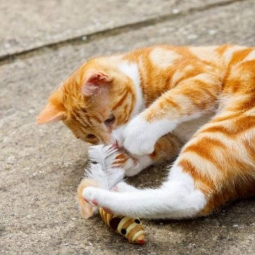 jouet chat souris en sisal chat jouant