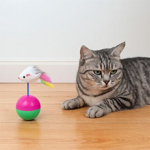 jouet chat souris interactive chat allonge