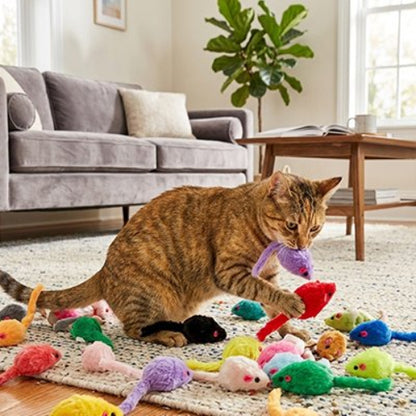 jouet chat souris multicolore chat jouant salon