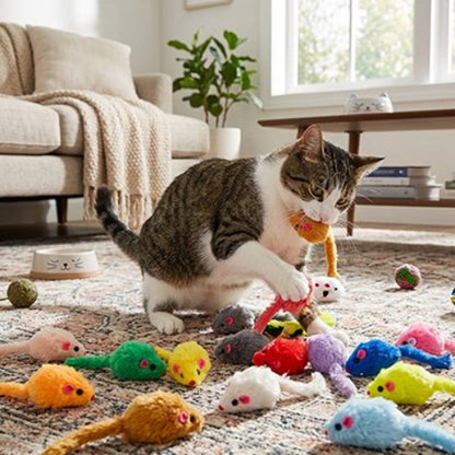 jouet chat souris multicolore chat mordant salon