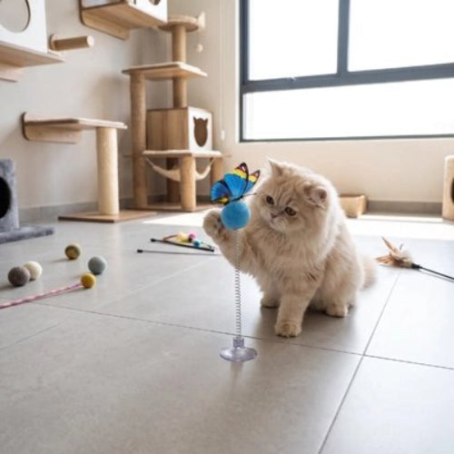 jouet pour chat balle a ressort bleu chat jouant