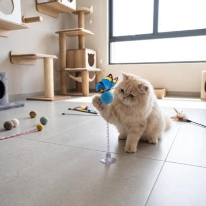 jouet pour chat balle a ressort bleu chat jouant