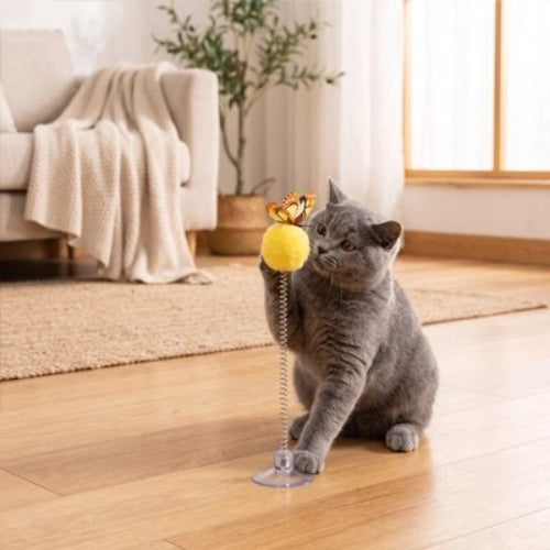 jouet pour chat balle a ressort jaune chat jouant