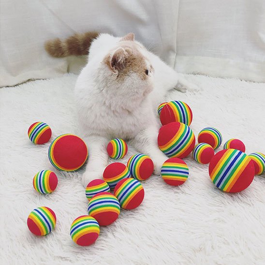 jouet pour chat balle arc en ciel avec chat
