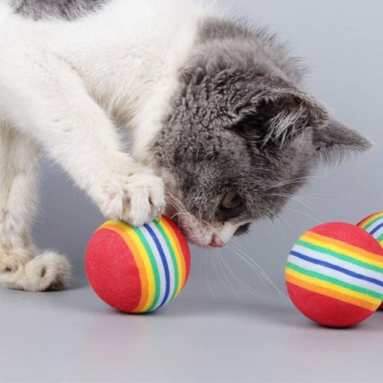 jouet pour chat balle arc en ciel chat mordant