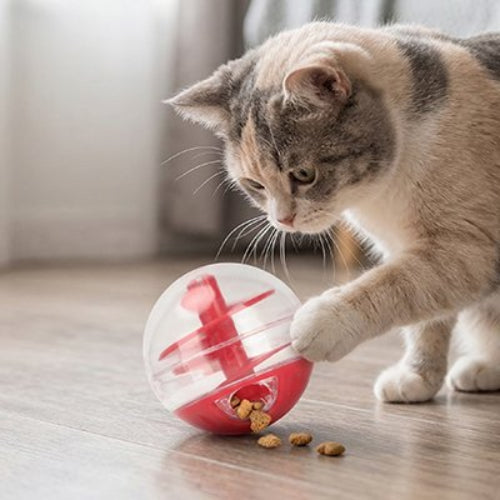 jouet pour chat balle interactive rouge avec chat