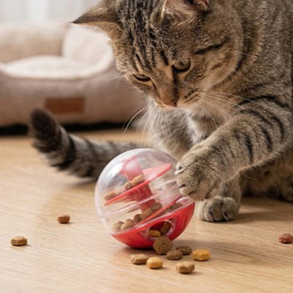 jouet pour chat balle interactive rouge chat jouant